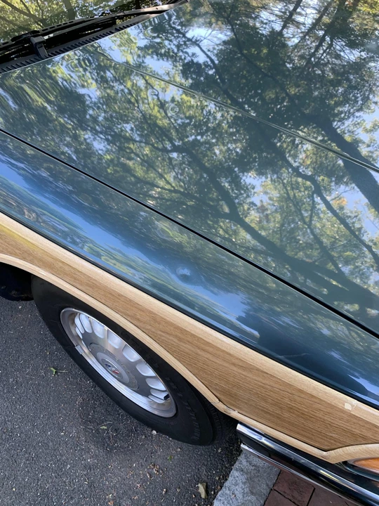1996 Buick Roadmaster - Image 16 of 31