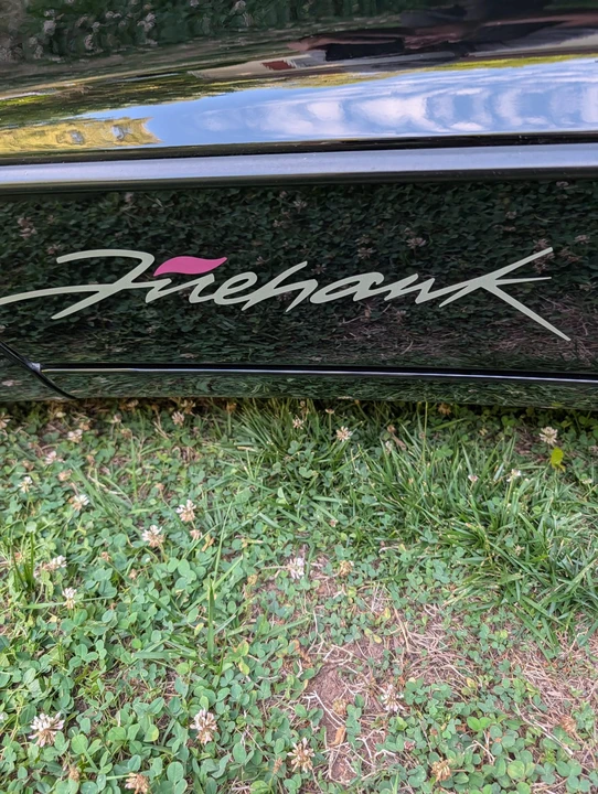 1999 Pontiac Firebird Formula 4th Gen - Image 22 of 31