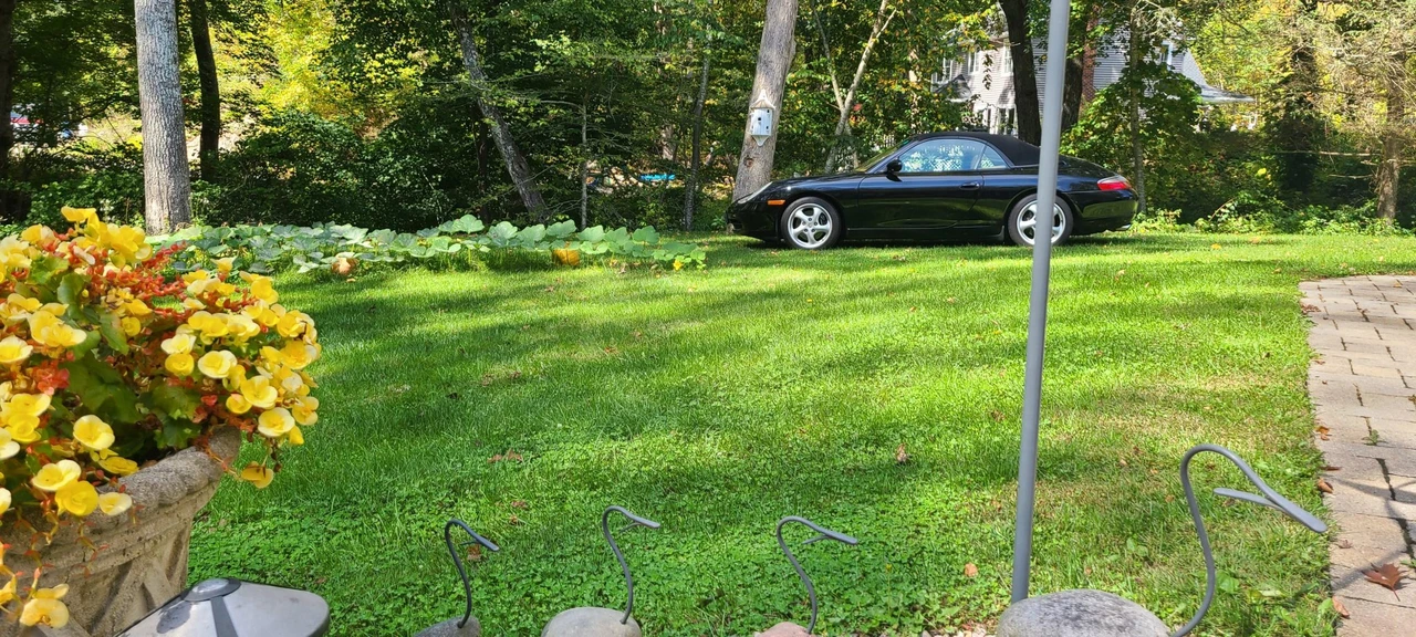 2000 Porsche 996 Carrera - Image 14 of 31