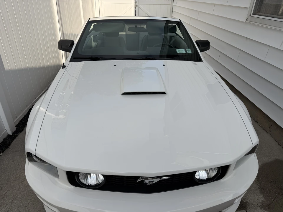 2009 Ford S197 Mustang - Image 13 of 31