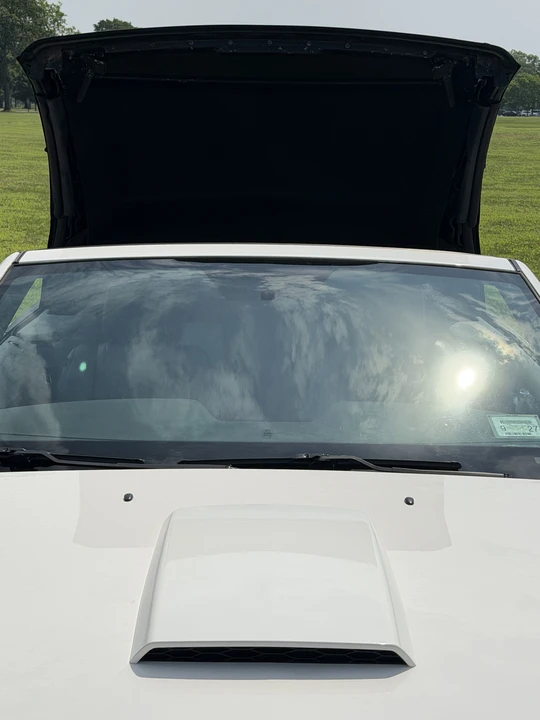 2009 Ford S197 Mustang - Image 26 of 31