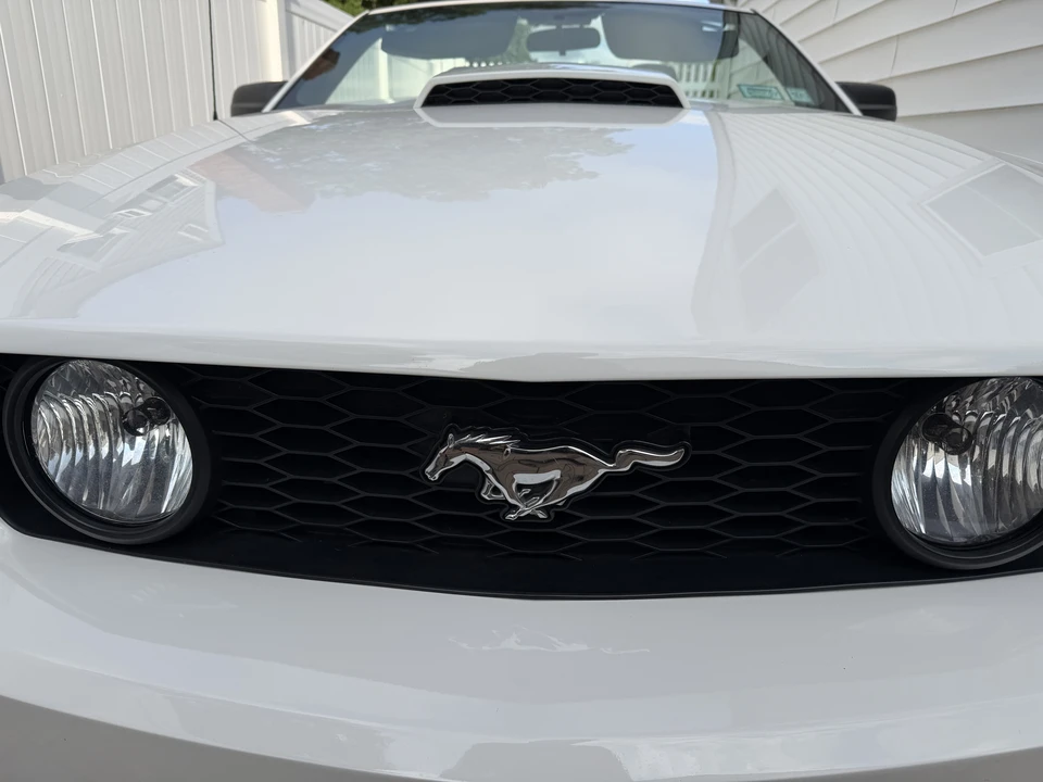 2009 Ford S197 Mustang - Image 15 of 31