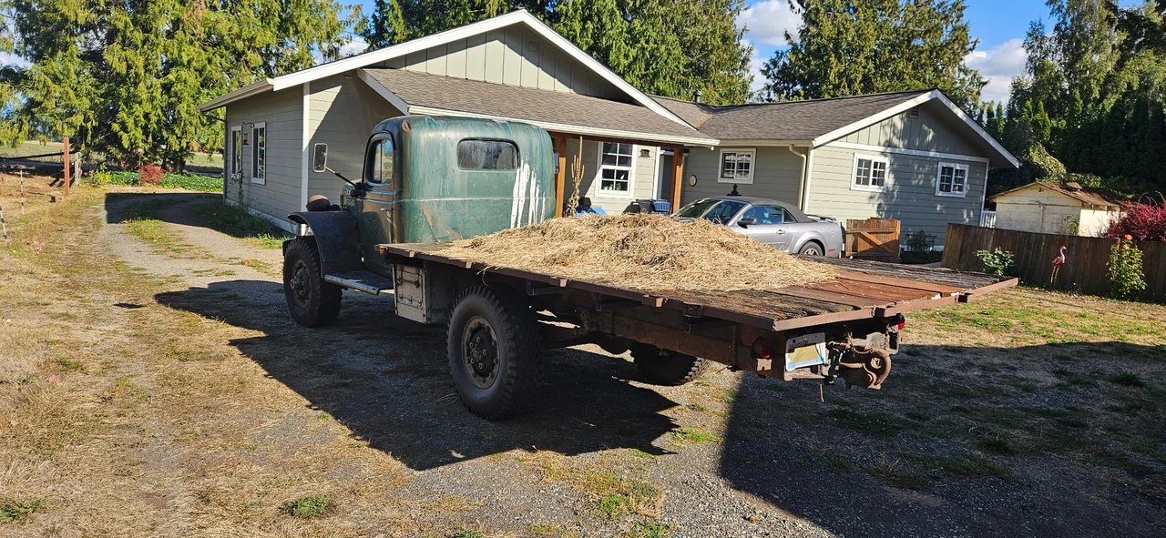 1950 Dodge Power Wagon (1946-1968) - Image 15 of 31