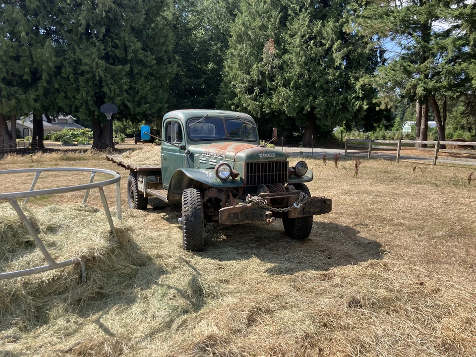 1950 Dodge Power Wagon (1946-1968) - Image 6 of 31
