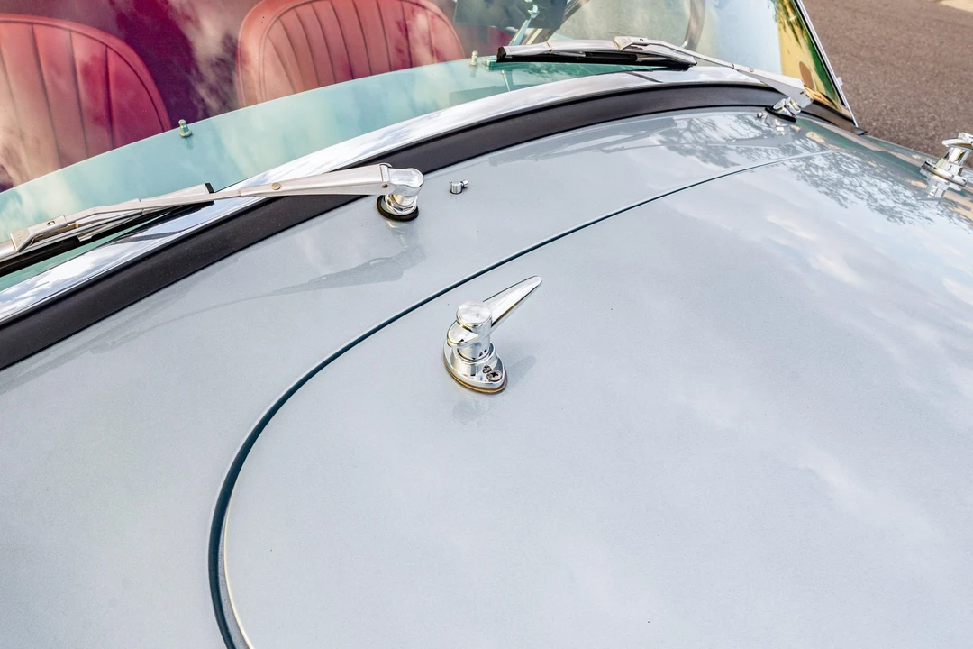 Shelby Cobra Replica - Image 19 of 31