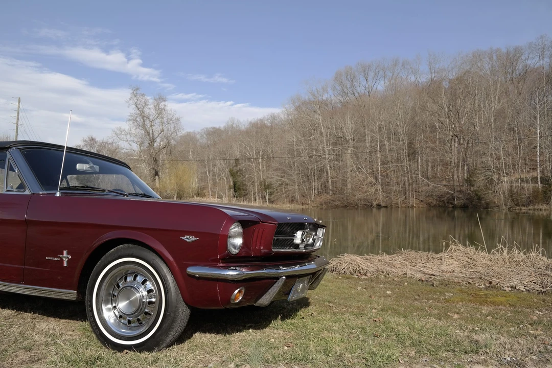 1964 Ford Mustang 1st Gen (1964.5-1966) - Image 17 of 31
