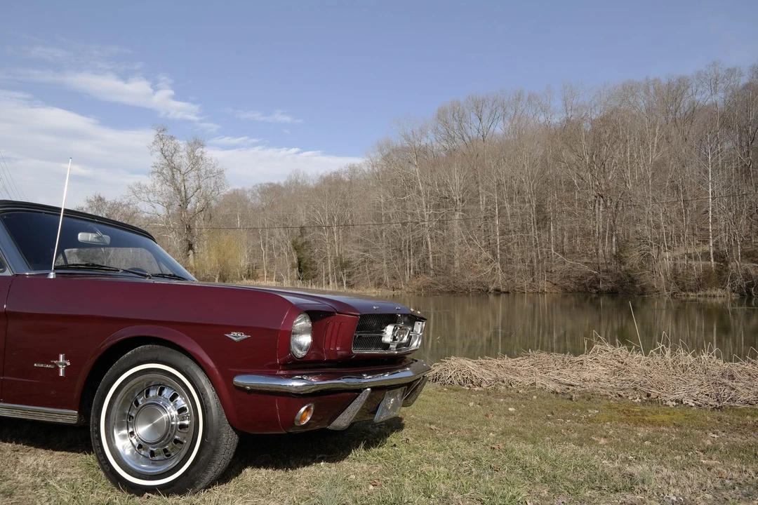 1964 Ford Mustang 1st Gen (1964.5-1966) - Image 16 of 31