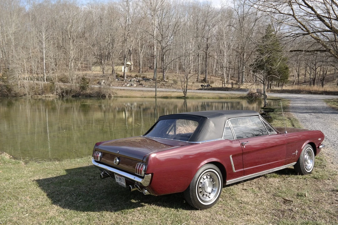1964 Ford Mustang 1st Gen (1964.5-1966) - Image 11 of 31