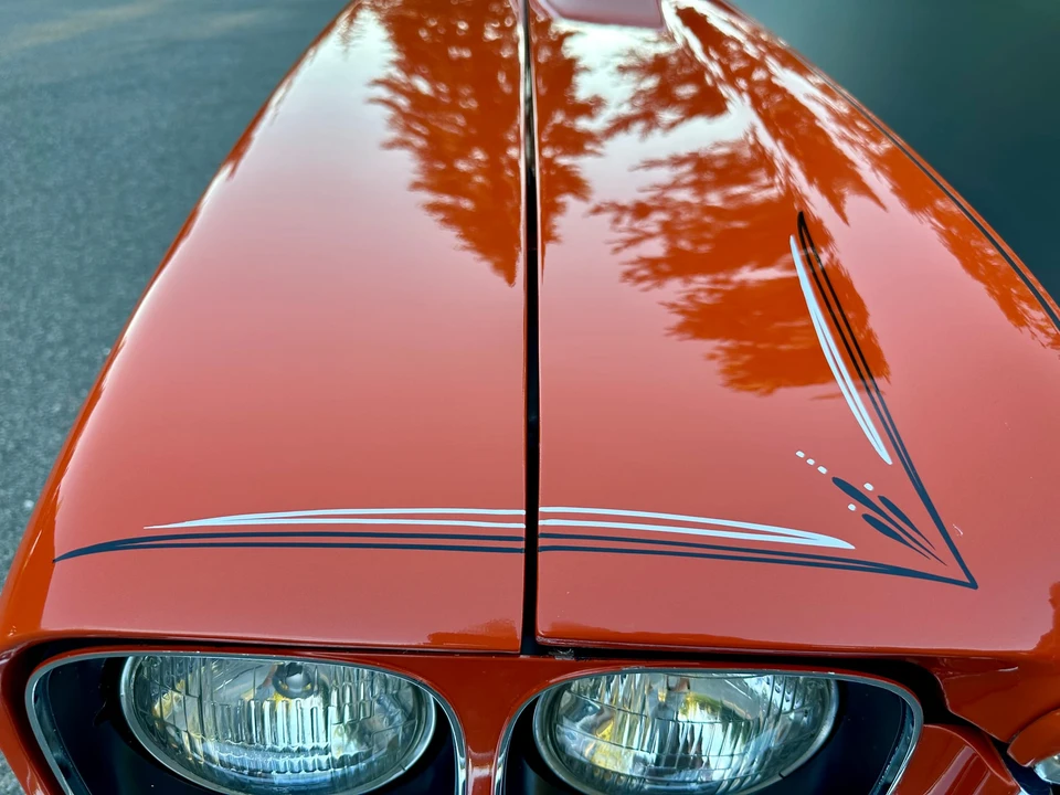 1972 Buick Skylark 3rd Gen - Image 28 of 31