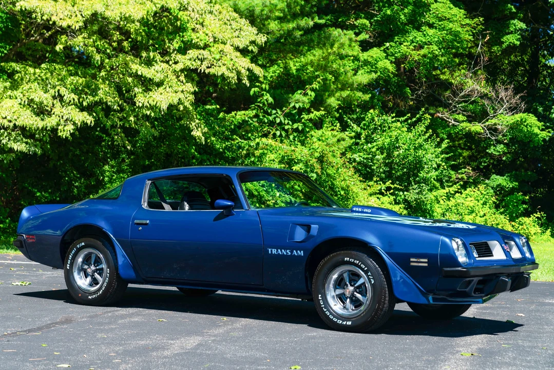 1975 Pontiac Firebird Trans Am 2nd Gen - Image 8 of 31