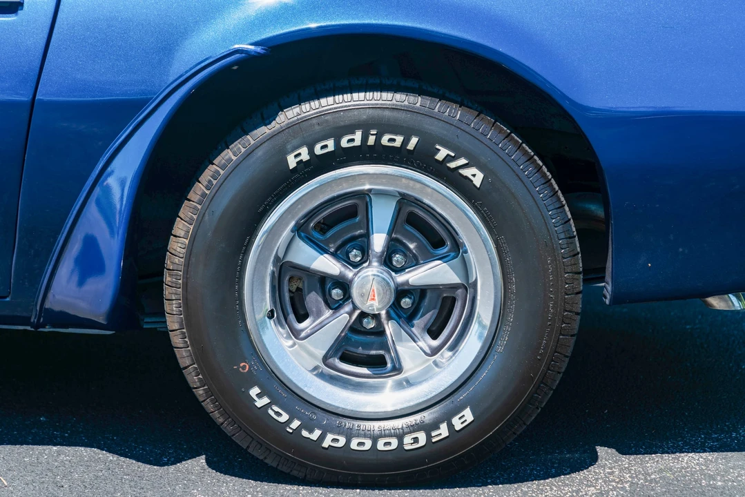 1975 Pontiac Firebird Trans Am 2nd Gen - Image 30 of 31