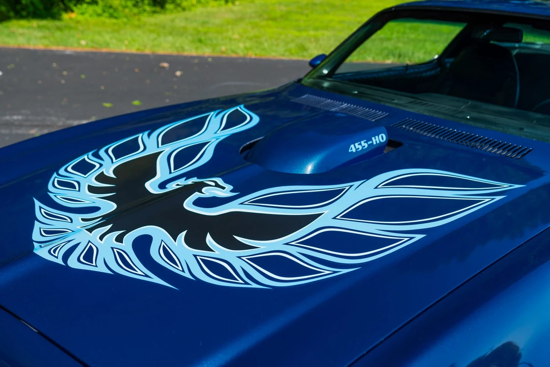 1975 Pontiac Firebird Trans Am 2nd Gen - Image 12 of 31