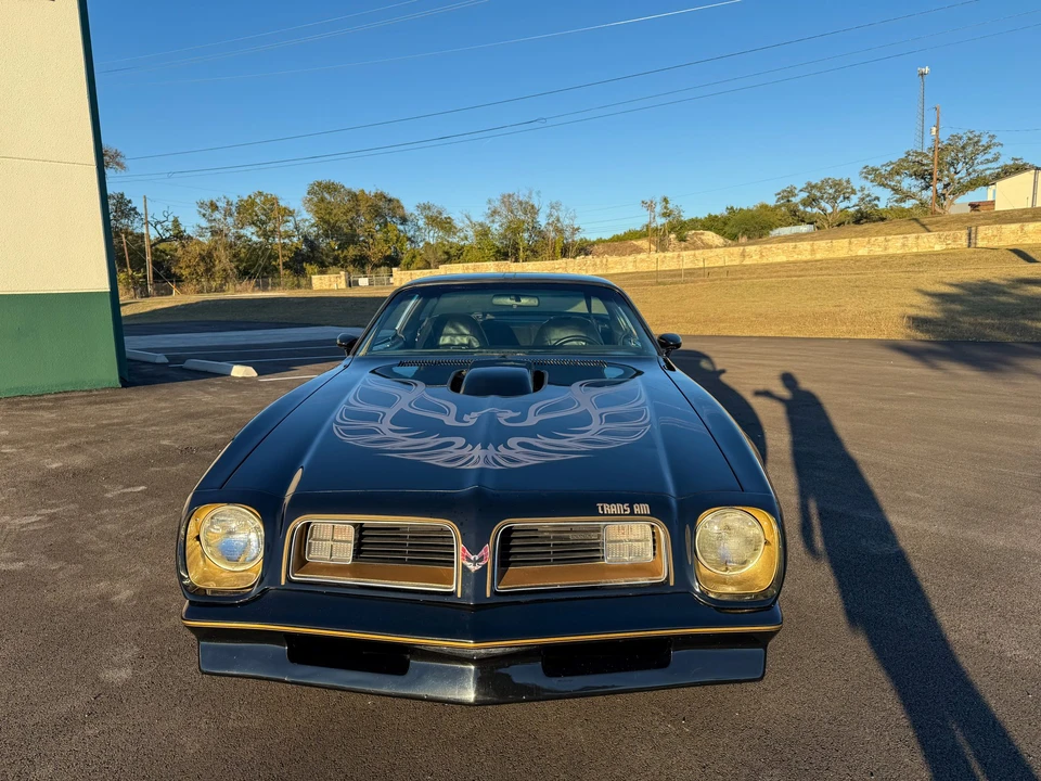 1976 Pontiac Firebird Trans Am 2nd Gen - Image 10 of 31