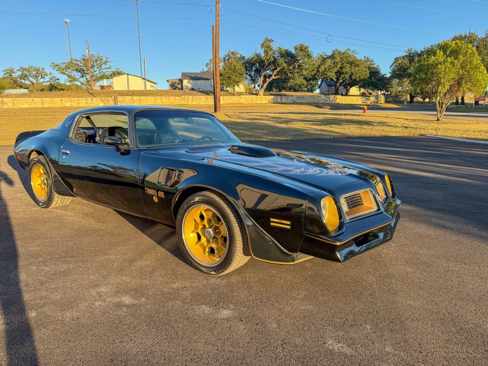 1976 Pontiac Firebird Trans Am 2nd Gen - Image 19 of 31