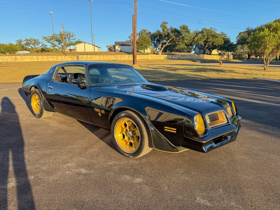 1976 Pontiac Firebird Trans Am 2nd Gen - Image 18 of 31