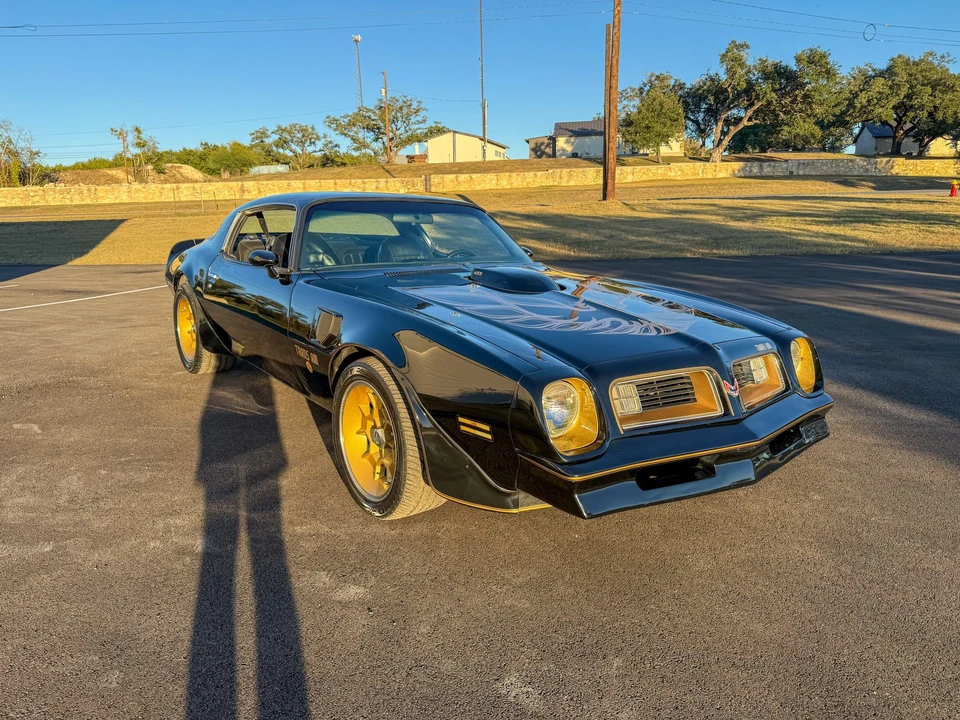 1976 Pontiac Firebird Trans Am 2nd Gen - Image 17 of 31