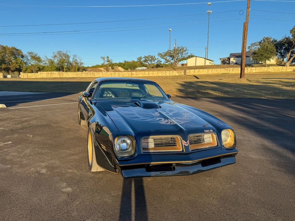 1976 Pontiac Firebird Trans Am 2nd Gen - Image 15 of 31