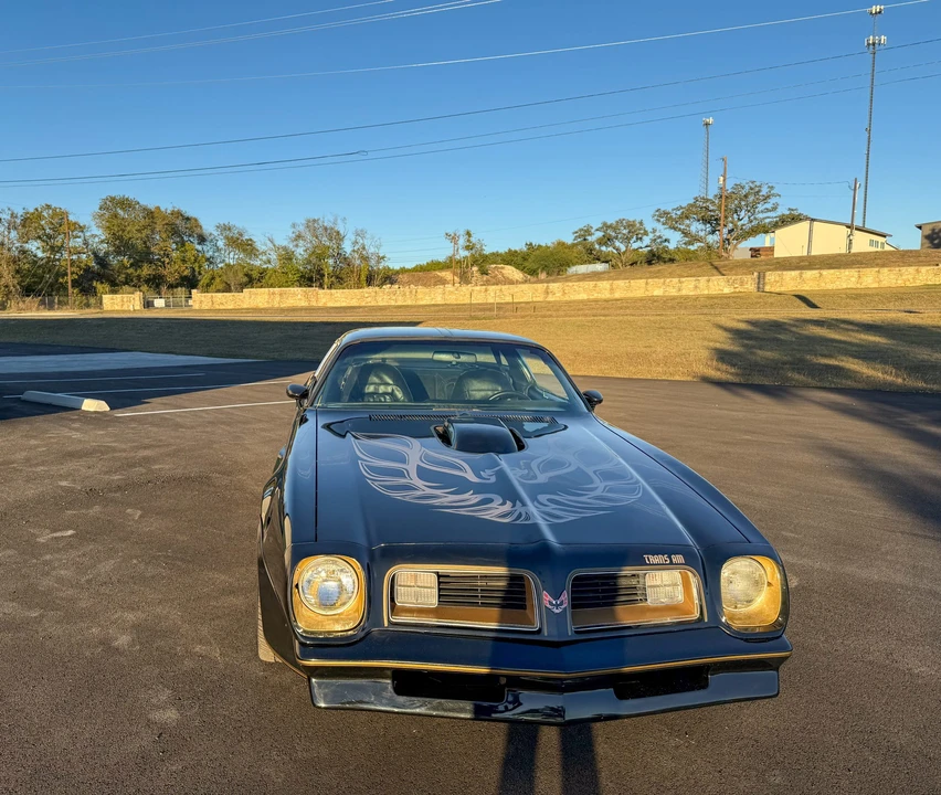1976 Pontiac Firebird Trans Am 2nd Gen - Image 14 of 31
