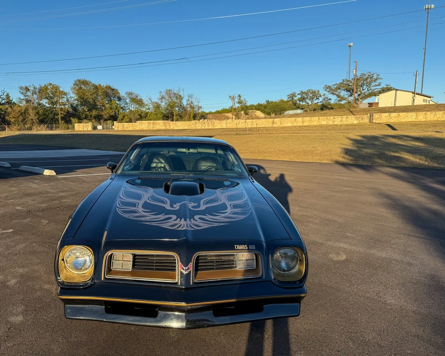 1976 Pontiac Firebird Trans Am 2nd Gen - Image 13 of 31