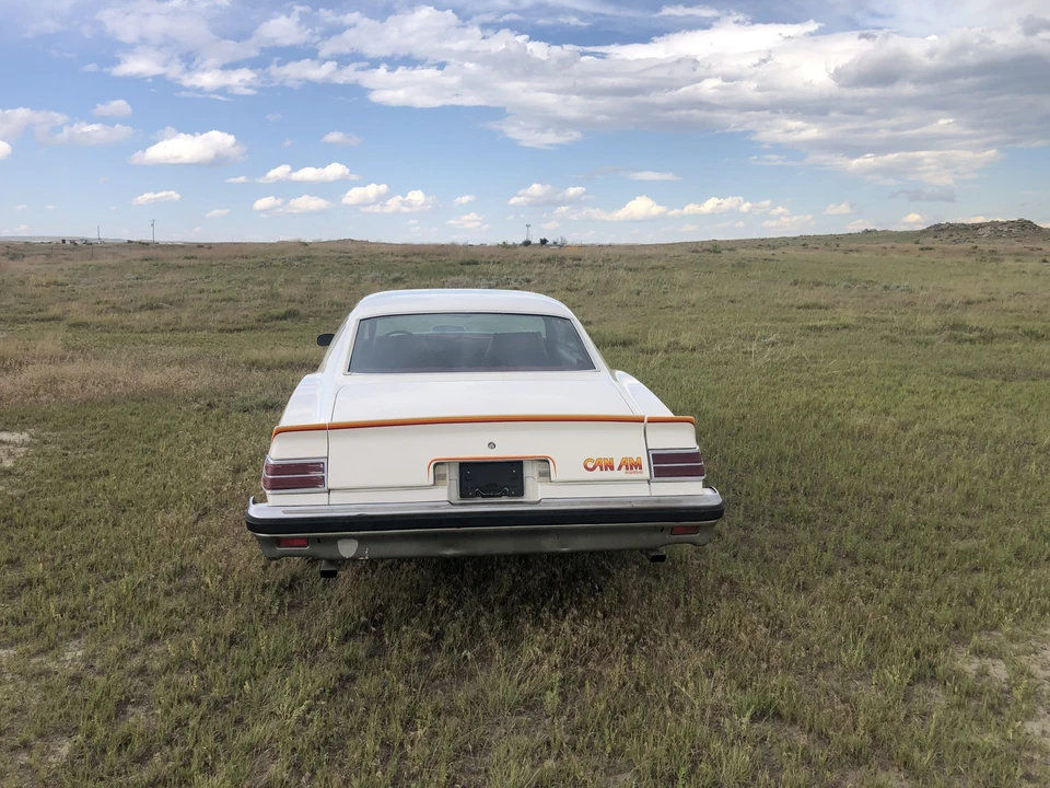 1977 Pontiac LeMans 4th+ Gen - Image 6 of 31