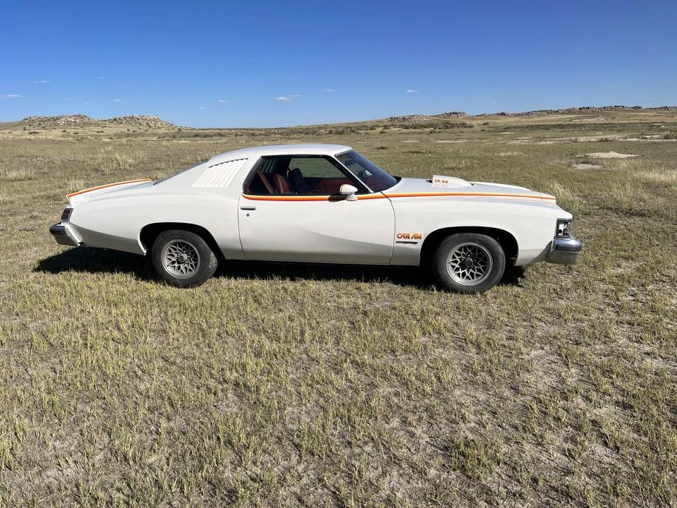 1977 Pontiac LeMans 4th+ Gen - Image 8 of 31
