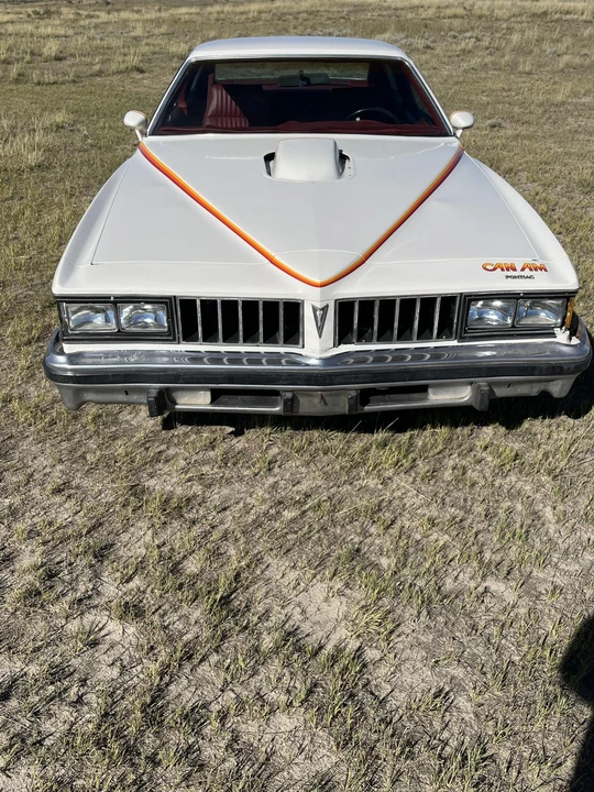 1977 Pontiac LeMans 4th+ Gen - Image 15 of 31
