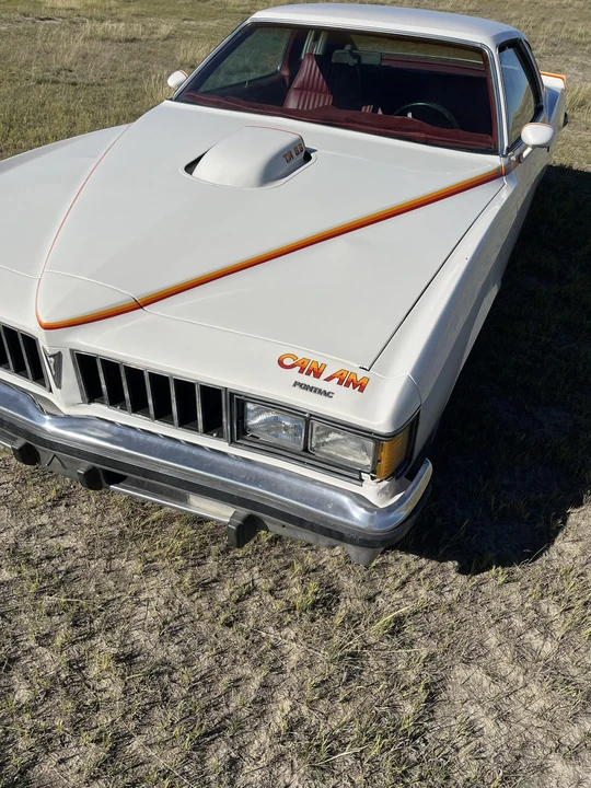 1977 Pontiac LeMans 4th+ Gen - Image 19 of 31