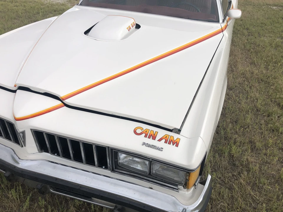 1977 Pontiac LeMans 4th+ Gen - Image 20 of 31