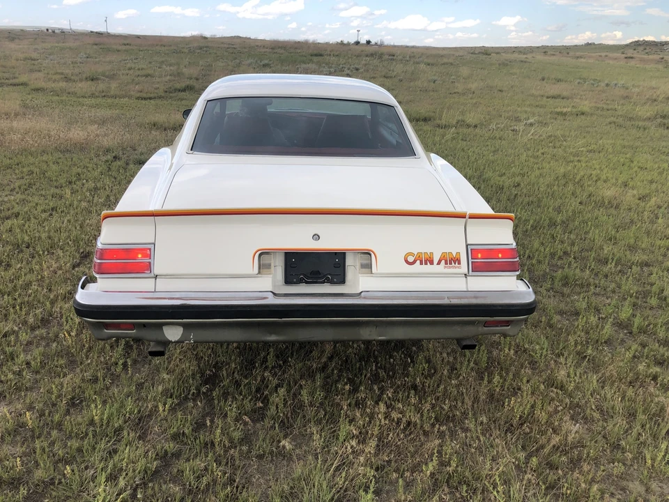 1977 Pontiac LeMans 4th+ Gen - Image 17 of 31