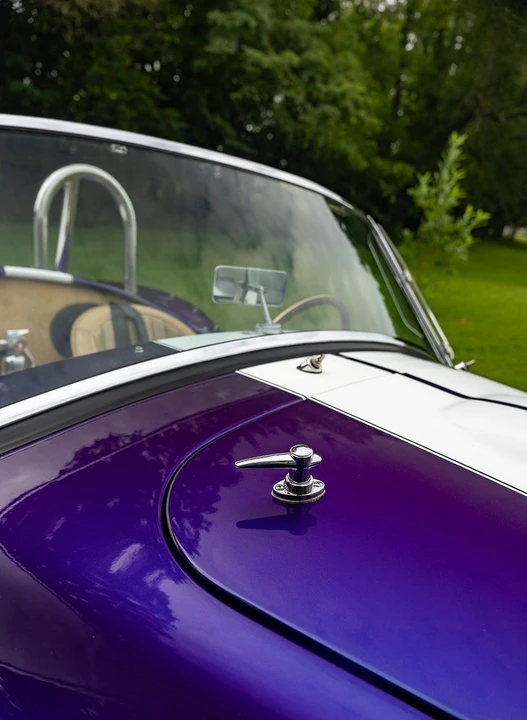 Shelby Cobra Replica - Image 29 of 31