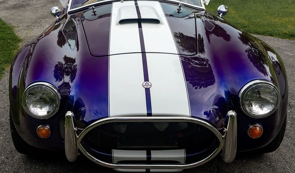 Shelby Cobra Replica - Image 18 of 31