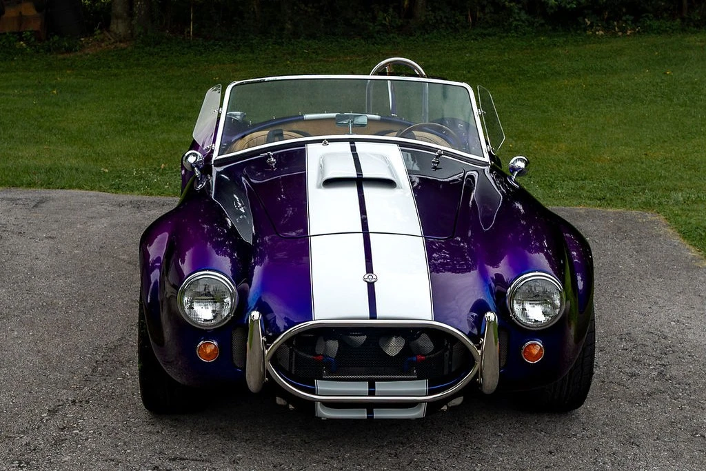 Shelby Cobra Replica - Image 2 of 31