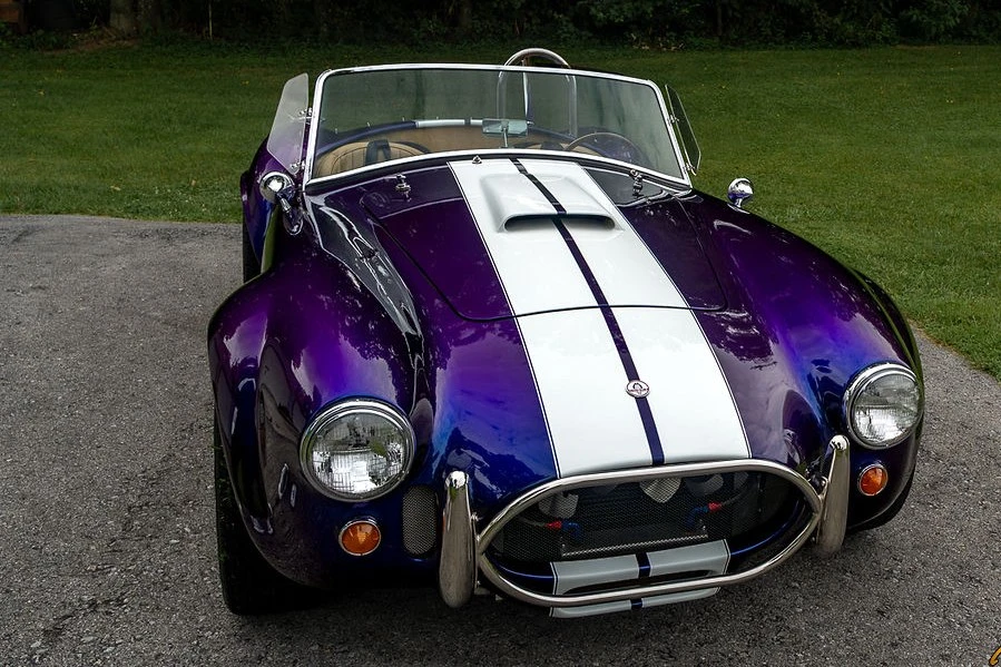 Shelby Cobra Replica - Image 4 of 31
