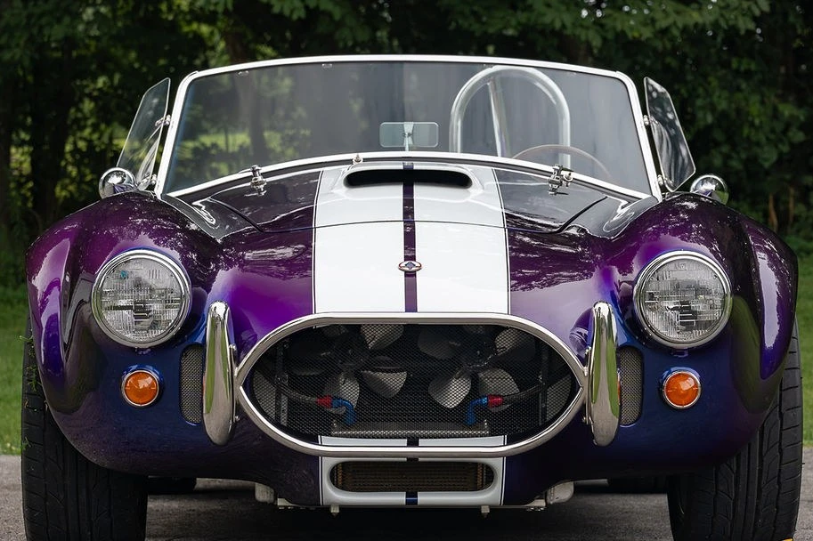 Shelby Cobra Replica - Image 3 of 31