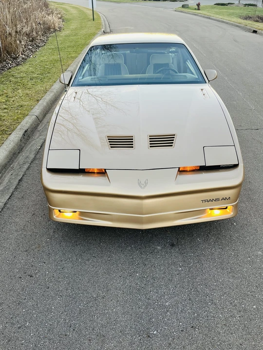 1985 Pontiac Firebird Trans Am 3rd Gen - Image 17 of 31