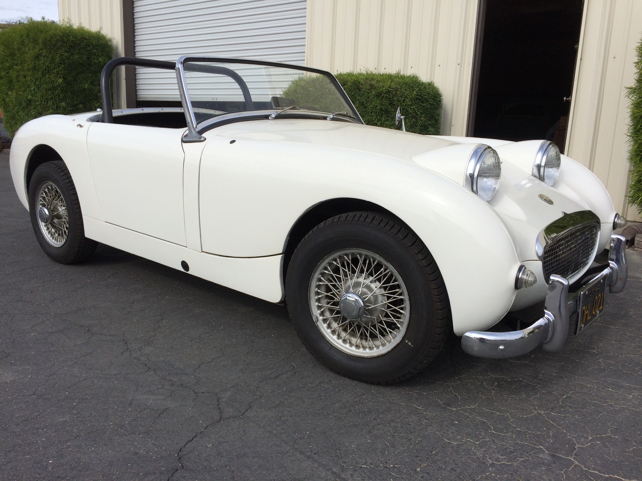 46 Years-Owned 1959 Austin-Healey Bugeye Sprite