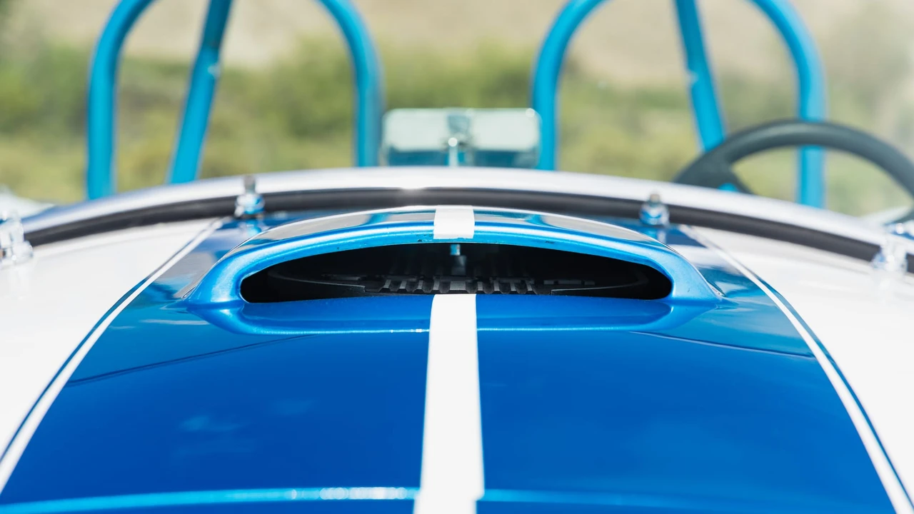 Shelby Cobra Replica - Image 20 of 31