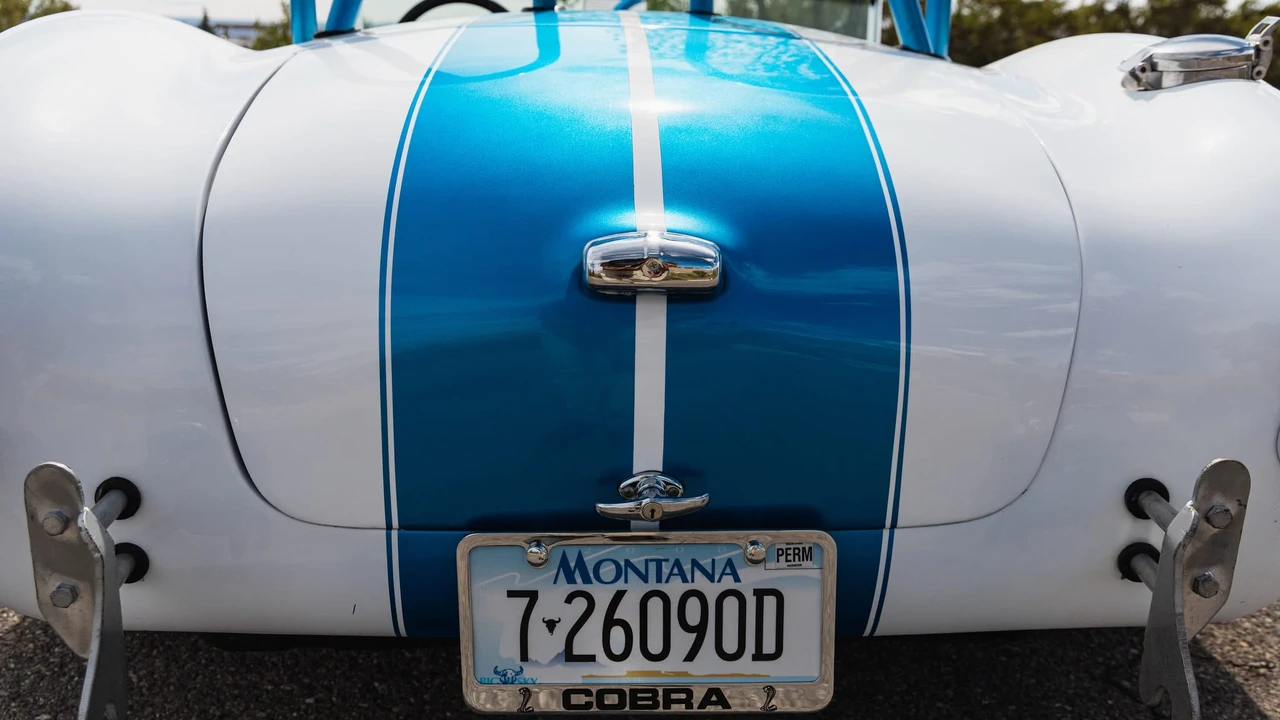 Shelby Cobra Replica - Image 25 of 31