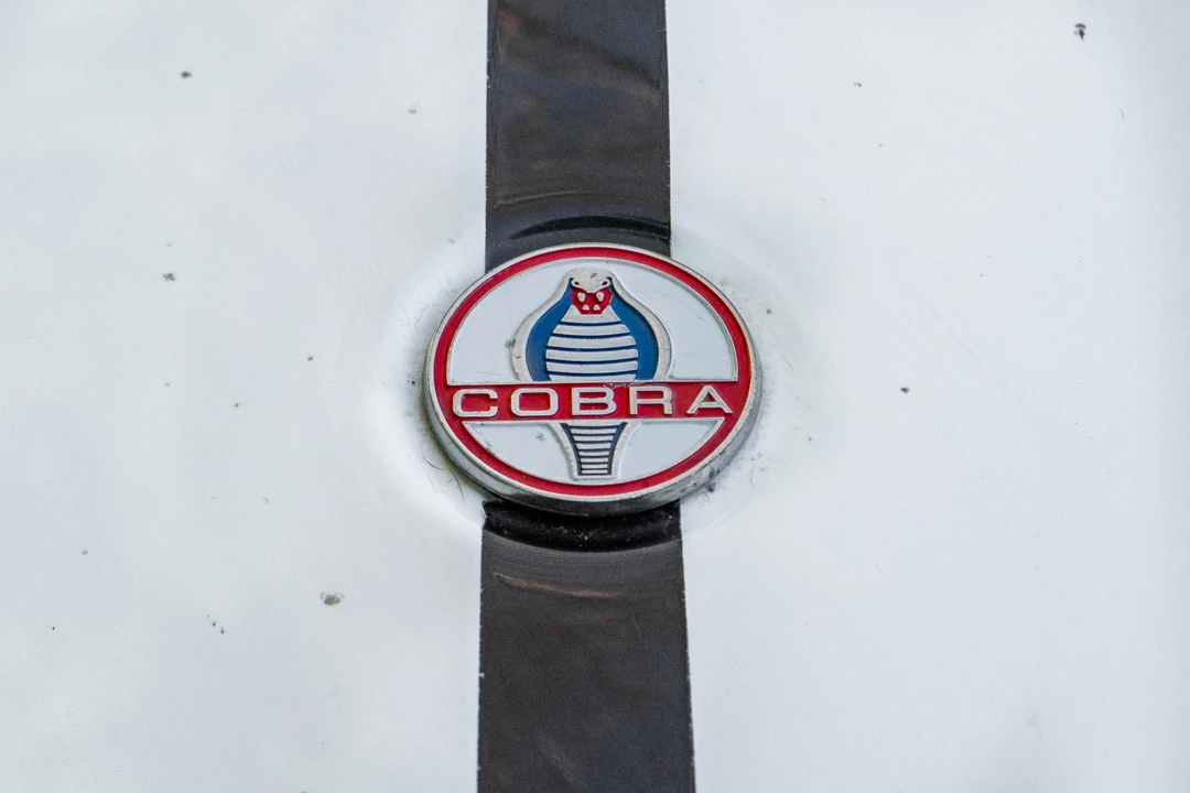 Shelby Cobra Replica - Image 19 of 31