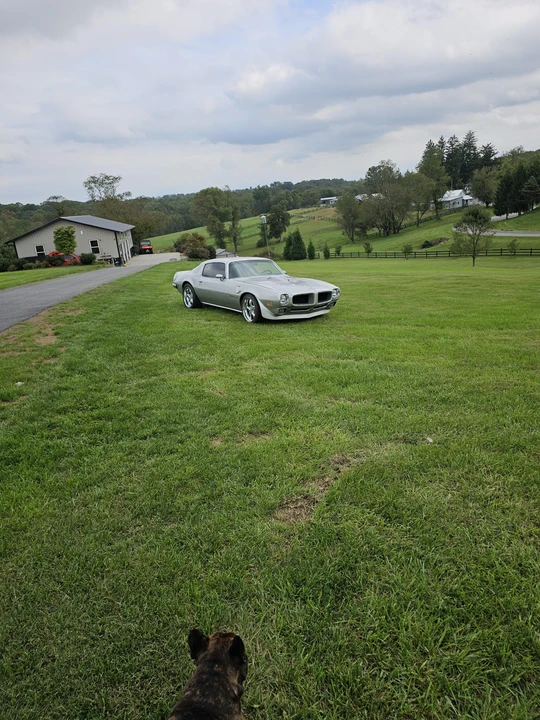1972 Pontiac Firebird 2nd Gen - Image 15 of 31