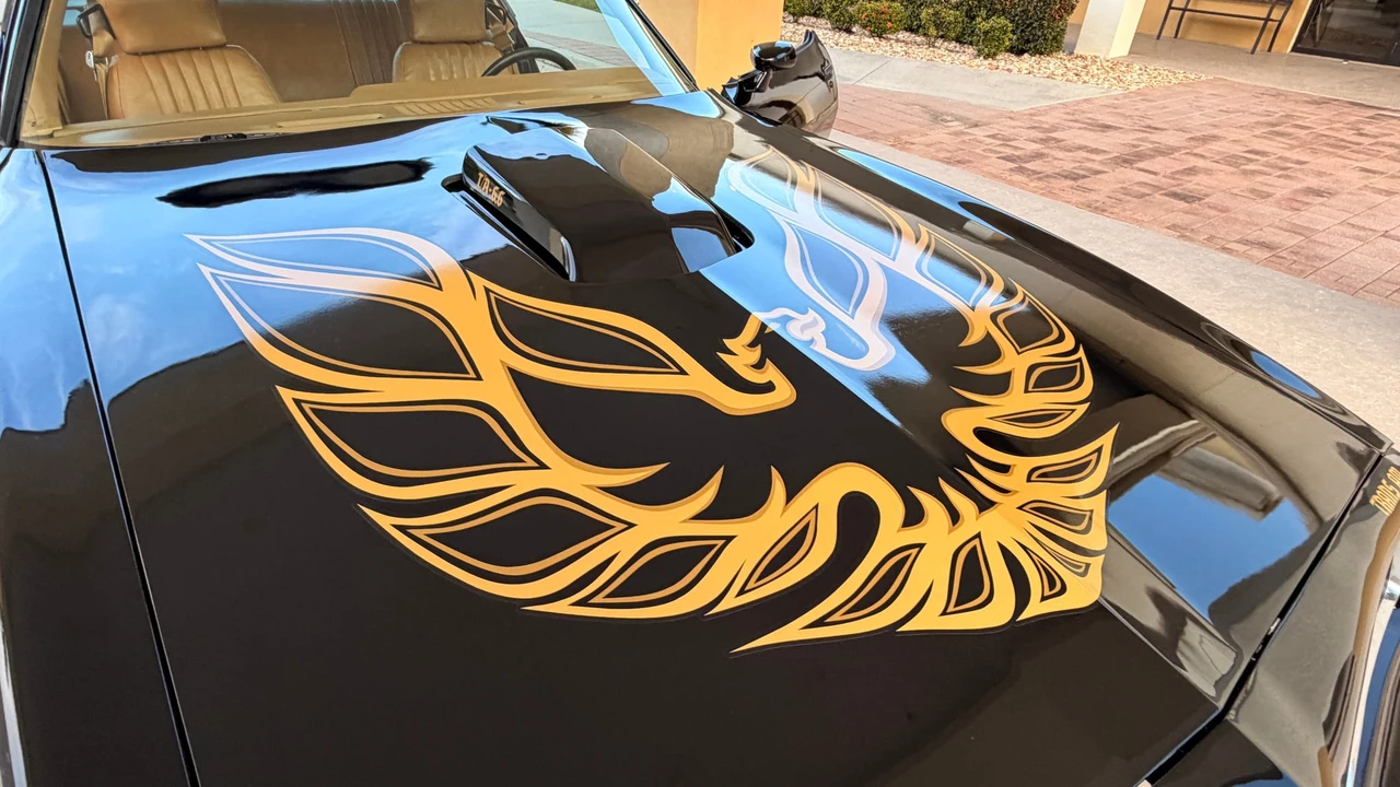 1978 Pontiac Firebird Trans Am 2nd Gen - Image 17 of 31