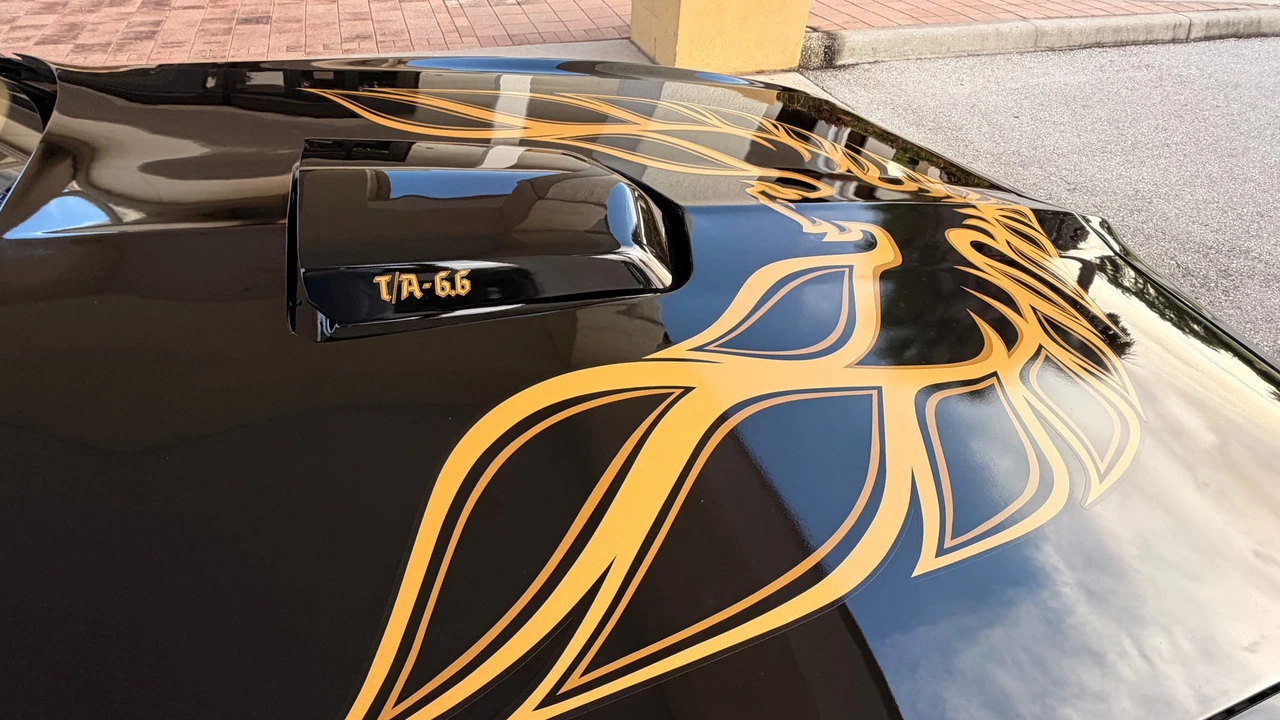 1978 Pontiac Firebird Trans Am 2nd Gen - Image 19 of 31