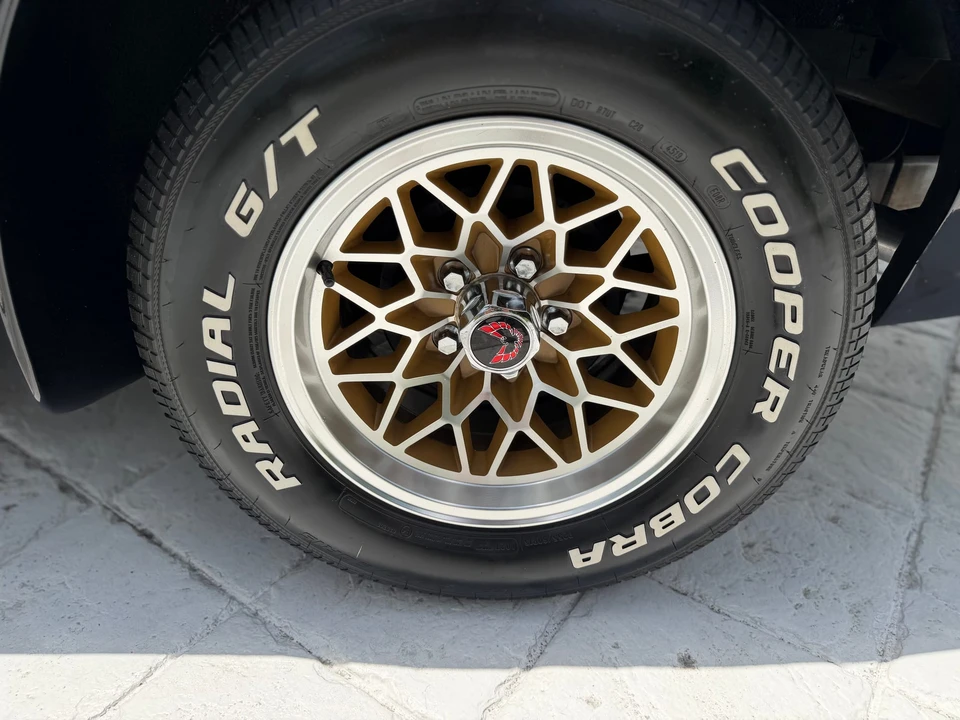 1978 Pontiac Firebird Trans Am 2nd Gen - Image 22 of 31
