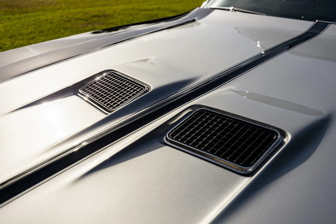 1971 Buick Skylark 3rd Gen - Image 31 of 31