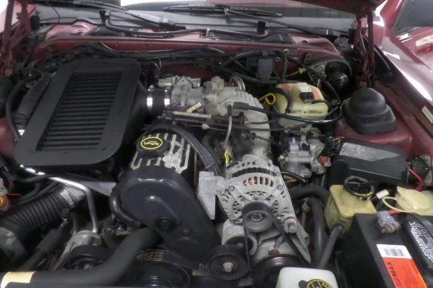 1988 Ford Thunderbird 9th Gen - Image 6 of 8
