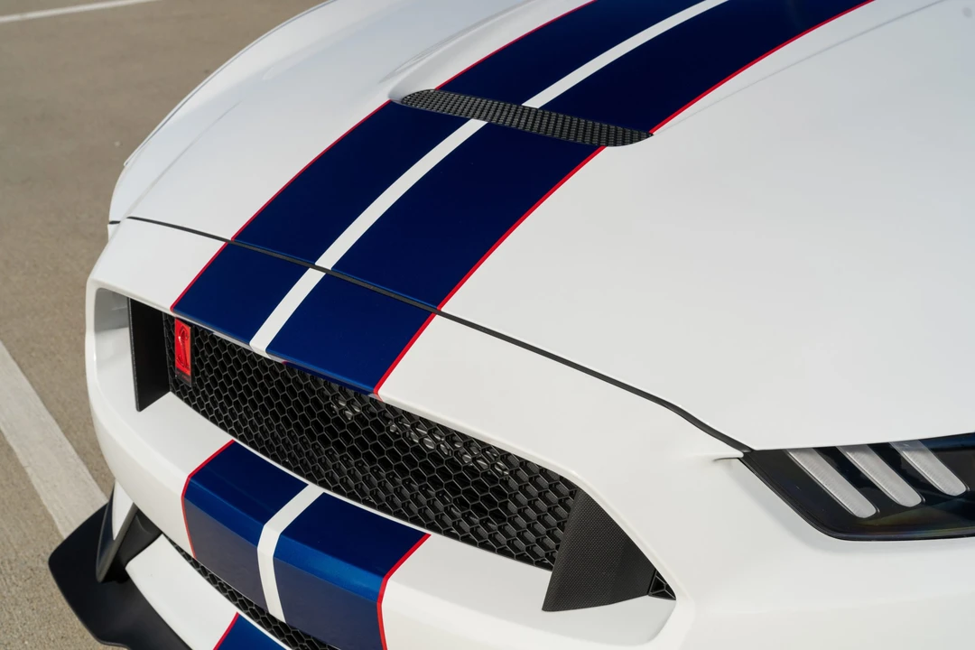 2018 Ford S550 Shelby Mustang GT350R - Image 30 of 31