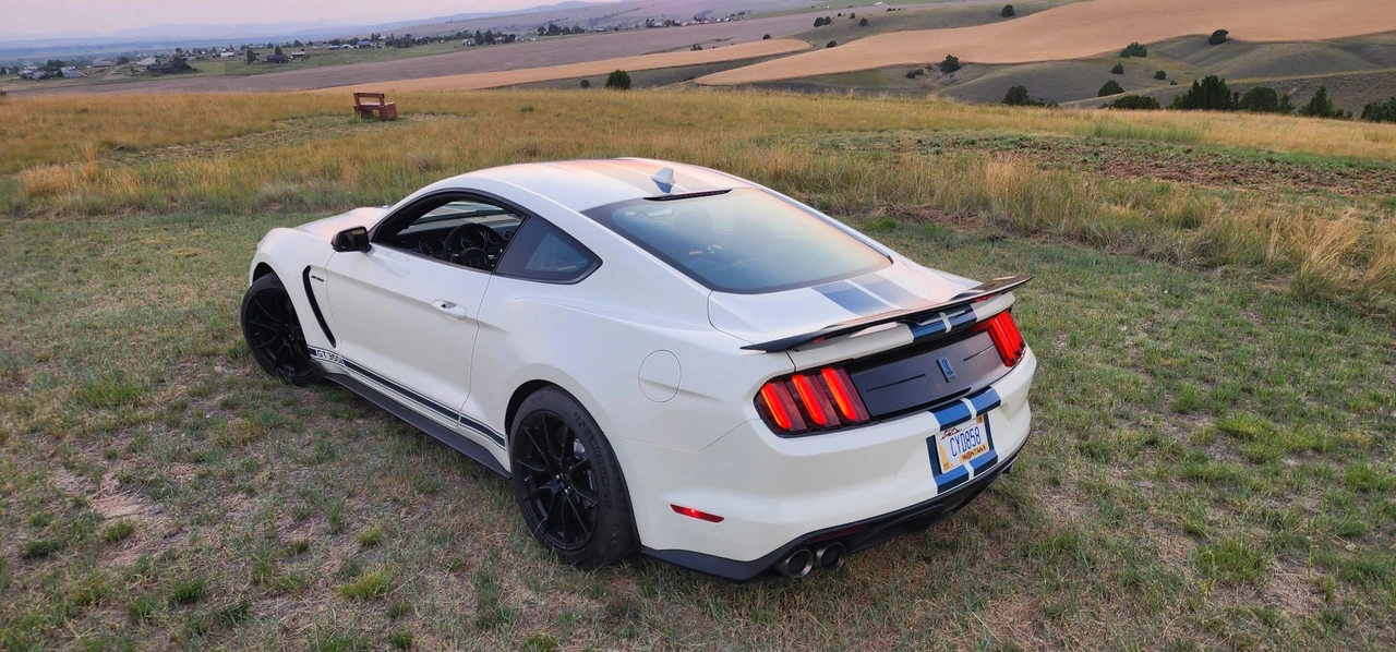 2020 Ford S550 Shelby Mustang GT350 - Image 13 of 31