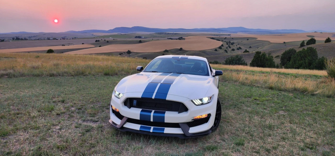 2020 Ford S550 Shelby Mustang GT350 - Image 31 of 31