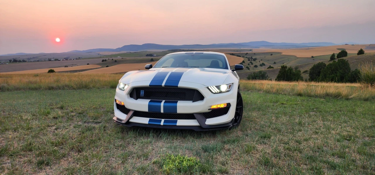2020 Ford S550 Shelby Mustang GT350 - Image 30 of 31