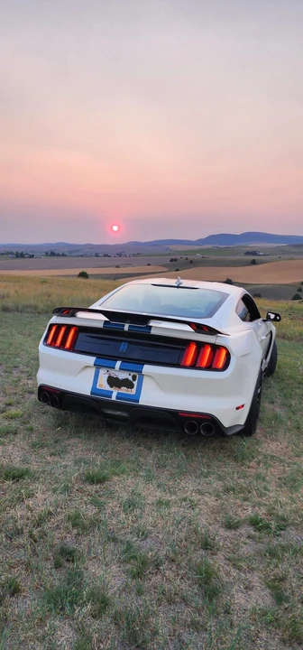 2020 Ford S550 Shelby Mustang GT350 - Image 18 of 31